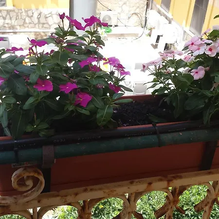 Al Bastione Imperiale Guest house 3*